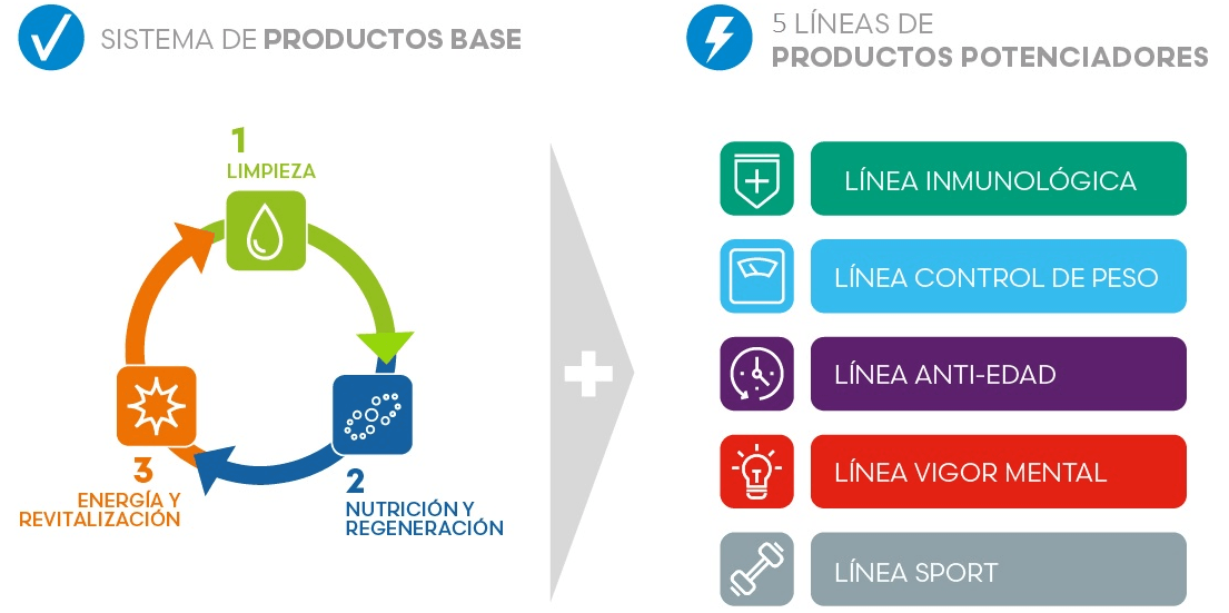 Sistema de Productos Base y Lineas Potenciadoras Sistema de Productos Base y Lineas Potenciadoras
